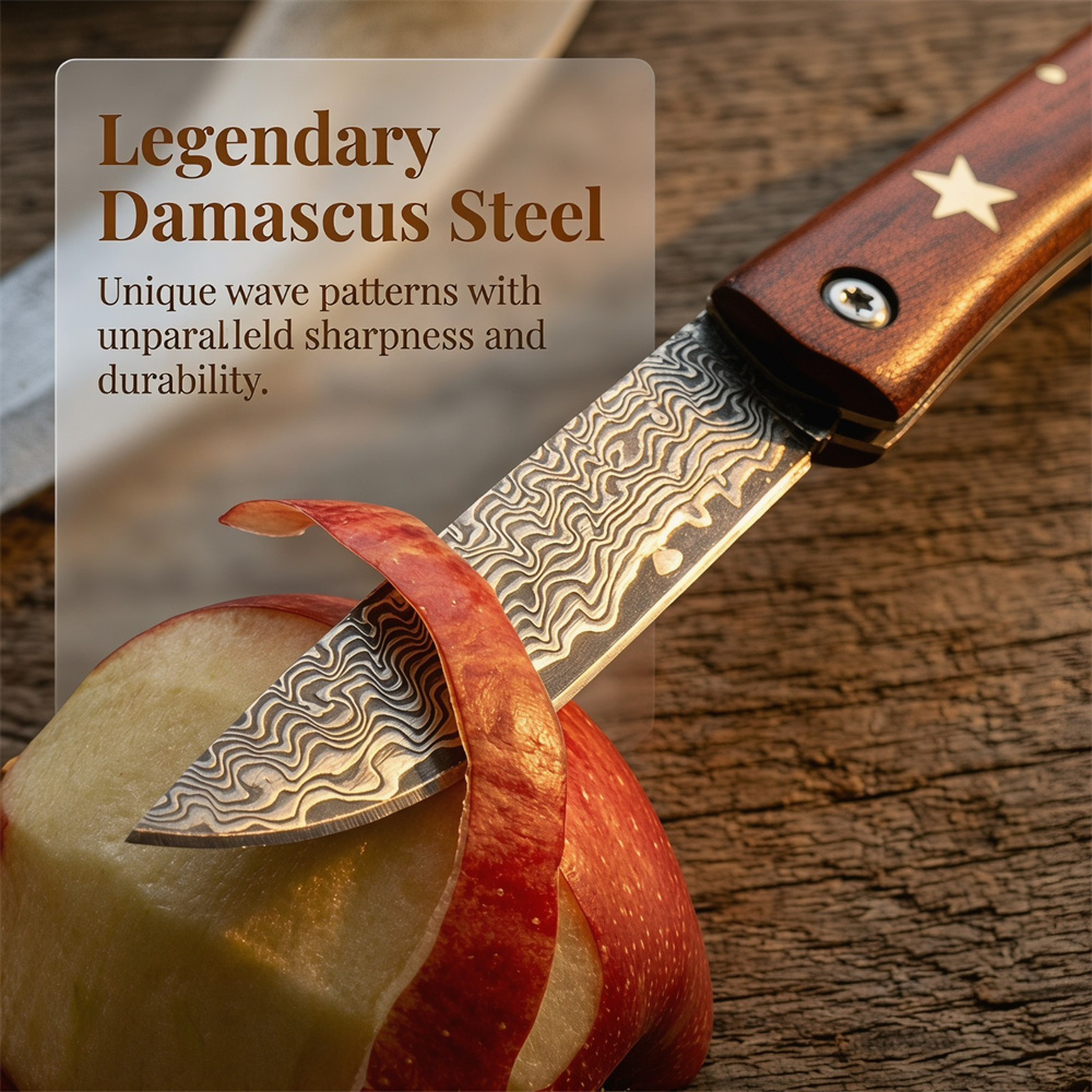 Compact Outdoor Survival Damas - Edc Fixed Blade Deep Carry 评论和价格